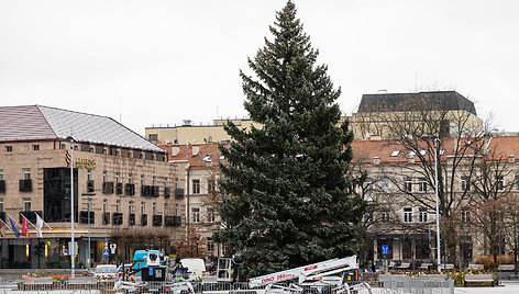 Vilniuje pradėta statyti Kalėdų eglutė