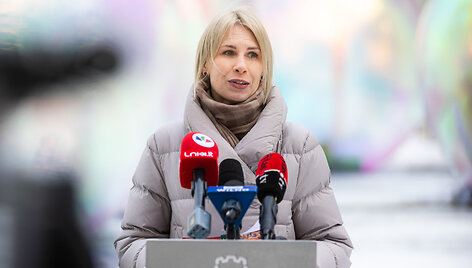 Vilniaus miesto 699-ojo gimtadienio pristatymas