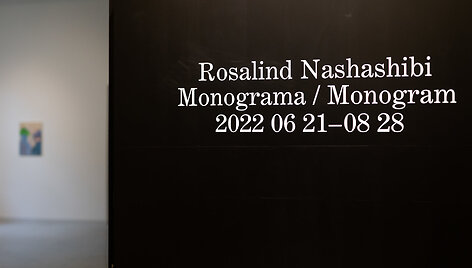 Rosalindos Nashashibi kūrybos paroda