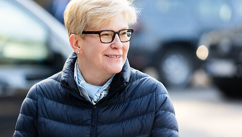 Ingrida &Scaron;imonytė, Ingrida &Scaron;imonytė