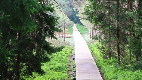 Varnikų pažintinis takas (Trakų r.)