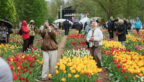 Burbi&scaron;kio dvaro festivalio &bdquo;Tulpių žydėjimo &scaron;ventė&ldquo; akimirkos, 2026 m.