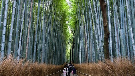 Japonija