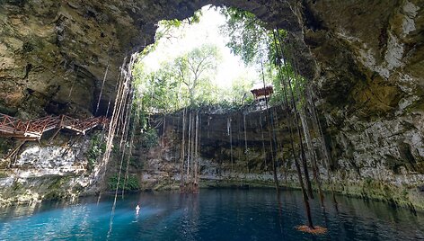 Senotas, Meksika