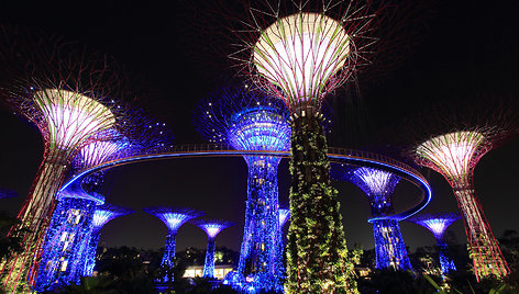 Singapūro sodai (Gardens by the Bay) 