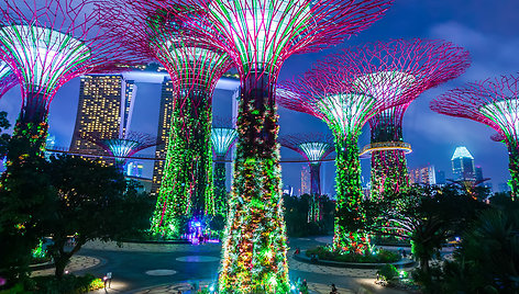 Singapūro sodai (Gardens by the Bay) 