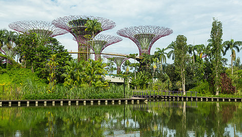 Singapūro sodai (Gardens by the Bay) 