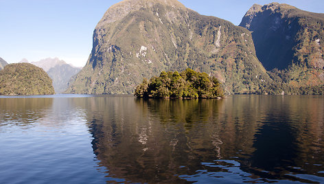 Nepatikimasis fjordas, Naujoji Zelandija