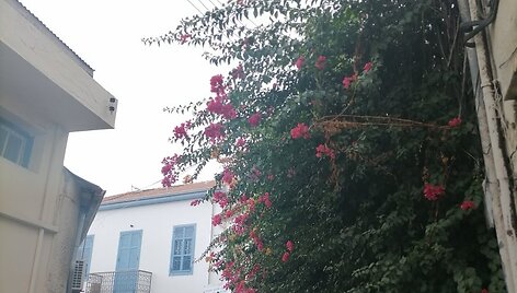 Larnaka, Kipras