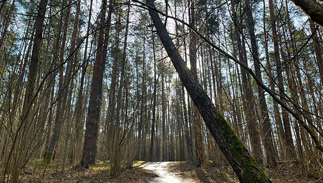 100 km takas aplink Vilnių