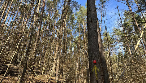 100 km takas aplink Vilnių