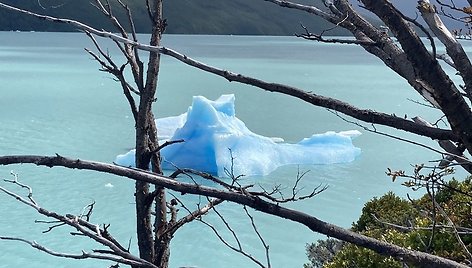 Kelionė po Patagoniją Argentinoje