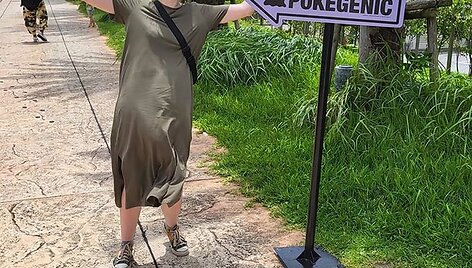 Kelionė po Japoniją