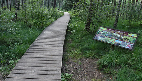HBH &bdquo;Pelkių takas&ldquo; 