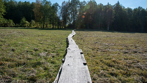 Ilgašilio pažintinis takas