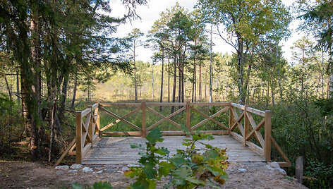 Pažintinis takas &bdquo;Į girią&ldquo;