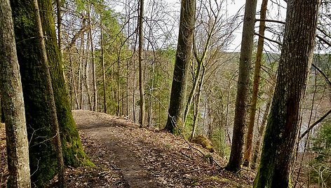 Punios šilo kraštovaizdžio draustinio pažintinė trasa