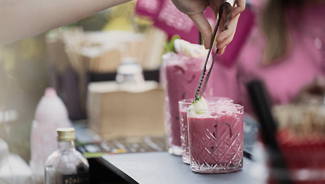 Vilniaus Šaltibarščių festivalis („Vilnius Pink Soup Fest“)