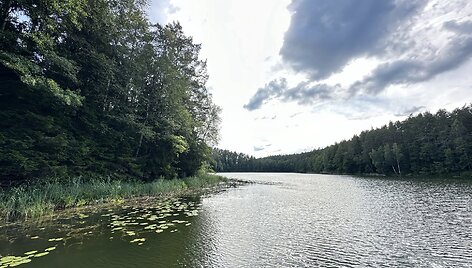 Ežeras