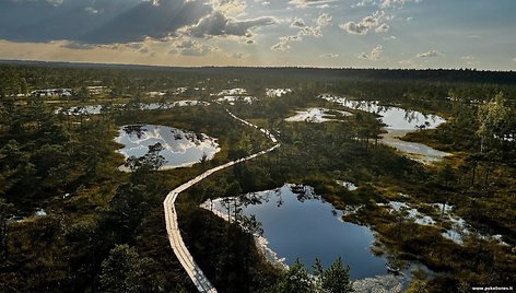 Užbūrė šie vakarinės pelkės vaizdai