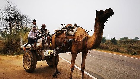 Vietinė transporto priemonė