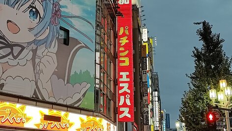 Žilvino Žebrausko įspūdžiai i&scaron; Japonijos