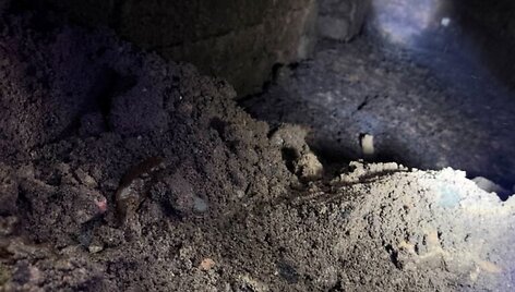Tauragėje tvarkant stadioną atrasti tarpukario pastato pamatai