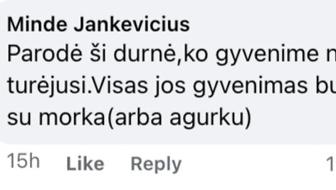 Po Remigijaus Žemaitaičio įra&scaron;u socialiniame tinkle &ndash;&nbsp;patyčių lavina