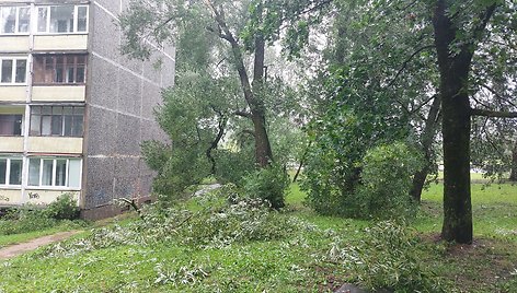 Vilniaus Lazdynų mikrorajone audra pridarė žalos: ant daugiabučio užvirto medis