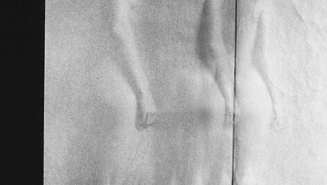 Violeta Bubelytė. Aktas 17, 1983