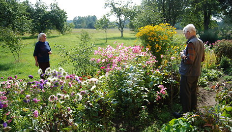 Netiesų kaimas, 2005 m.