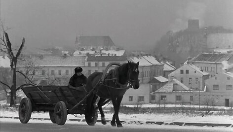 Dokumentinis filmas &bdquo;Senis ir žemė&ldquo; (1965), režisierius R.Verba