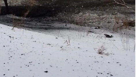 Sprogimo vietoje
