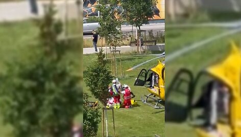 &Scaron;audynės Austrijos mokykloje