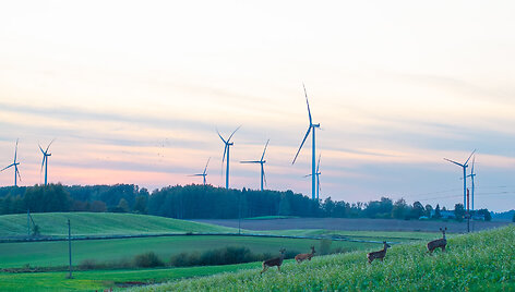 Lietuvos vėjo energetikai &ndash; 20 metų: nuo pirmųjų žingsnių iki energetinės nepriklausomybės