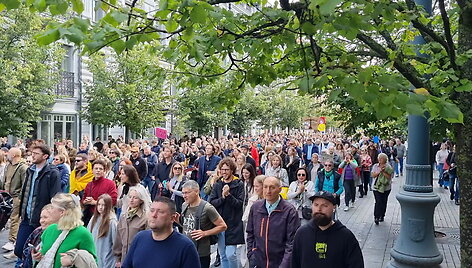 protestuotoju-skanduote-valdziai-melagiai
