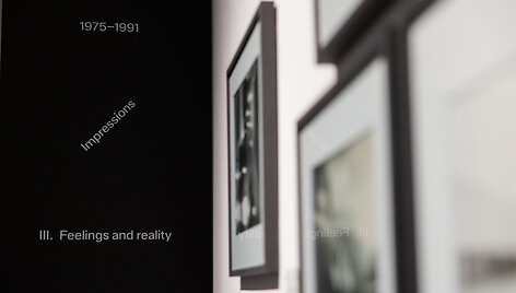 Virgilijaus &Scaron;ontos retrospektyva LNDM Nacionalinėje dailės galerijoje