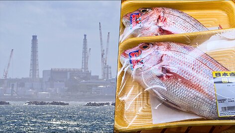 Kinija piktinasi Japonijos sprendimu dėl Fuku&scaron;imos AE