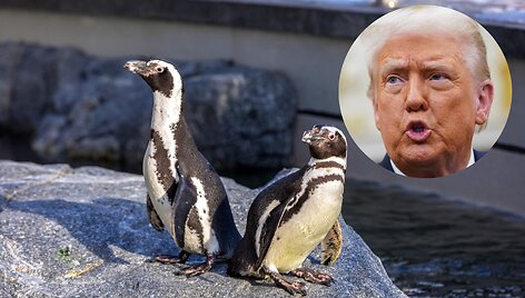 Donaldas Trumpas