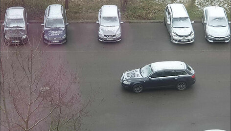Sniegas Vilniuje