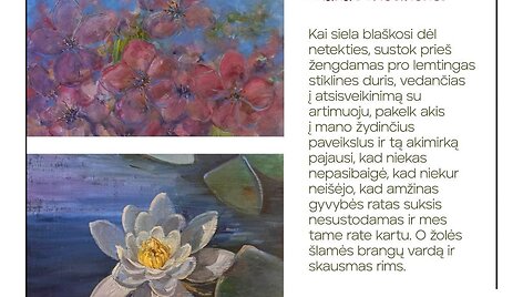 Diana Zviedrienė ŽOLYNŲ PASAKA apra&scaron;ymas