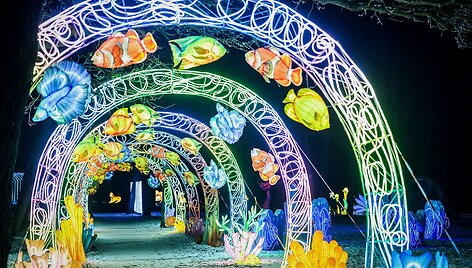 Svarbu žinoti planuojantiems aplankyti &scaron;viesų festivalius: reklamose to nepamatysite
