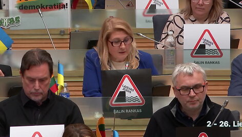 seimas-pritare-pataisoms-del-agnes-sirinskienes-katino