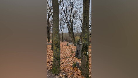 kaunieciai-piktinosi-per-velines-salia-kapiniu-vykusiu-triuksmingu-raliu