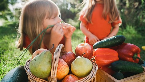 little-girls-lie-on-grass-in-garden-next-to-wicker-2023-11-27-05-34-52-utc