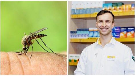 Įsibėgėjant vasariškiems orams padaugėjo vabzdžių įgėlimų – vaistininkas pataria, kaip kovoti su niežuliu