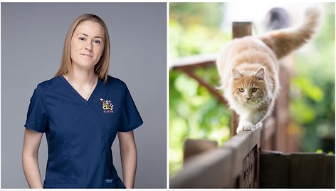 Veterinarijos gydytoja Liepa Krūminytė / Katė