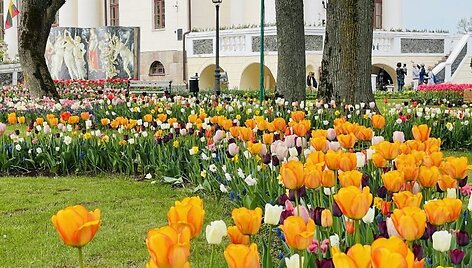 5 milijonai žiedų ir didieji Renesanso atradimai: Pakruojo dvaras žada įspūdingą pavasario atgimimą