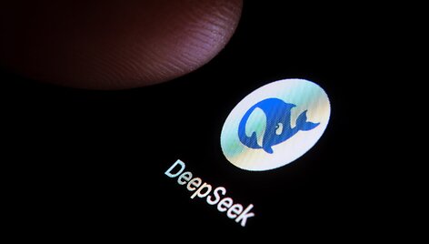 DeepSeek