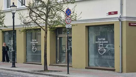 Klaipėdoje, Tiltų gatvėje 15, duris &scaron;ią vasarą atvers pirmoji kačių kavinė, kurioje lankytojus pasitiks 8 katės. 